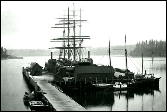Docton