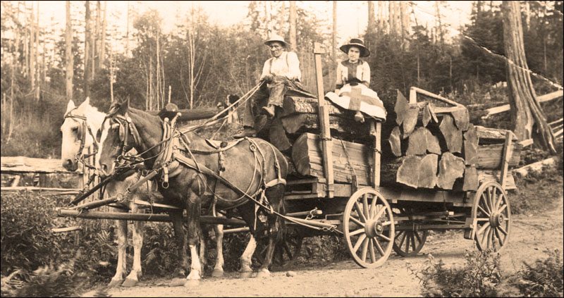 Shake Wagon